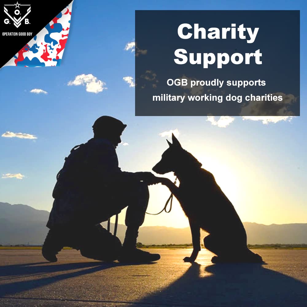 Operation Good Boy Beef Dog Treats - 1/4 High-Protein Training Squares, Natural Farm-Raised Meat for Small to Large Dogs - Freed