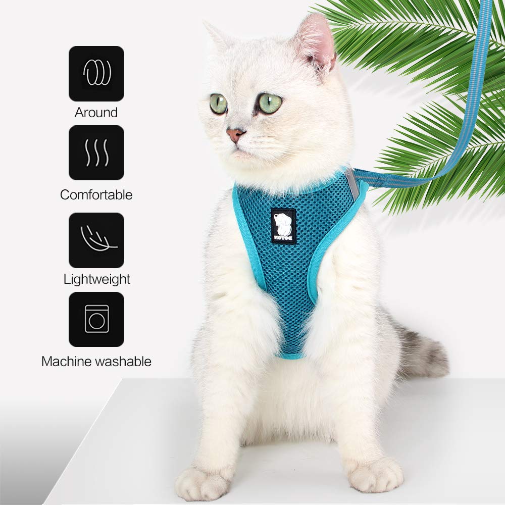 Heywean Cat Harness And Leash - Ultra Light Escape Proof Kitten Collar Cat Walking Jacket With Running Cushioning Soft And Comfortable Suitable For Puppies Rabbits (M, Turquoise)