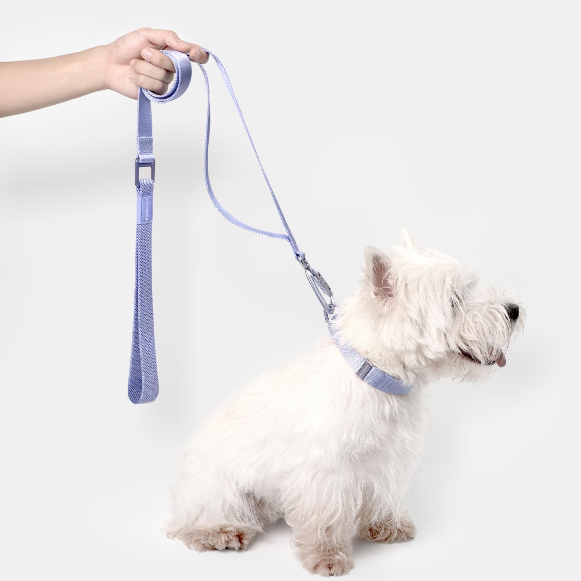 Buddyarmor Dog Collar And Leash Set, Heavy Duty Quick Release Buckle Dog Collar And Two Handles Dog Leash For Training & Outdoor