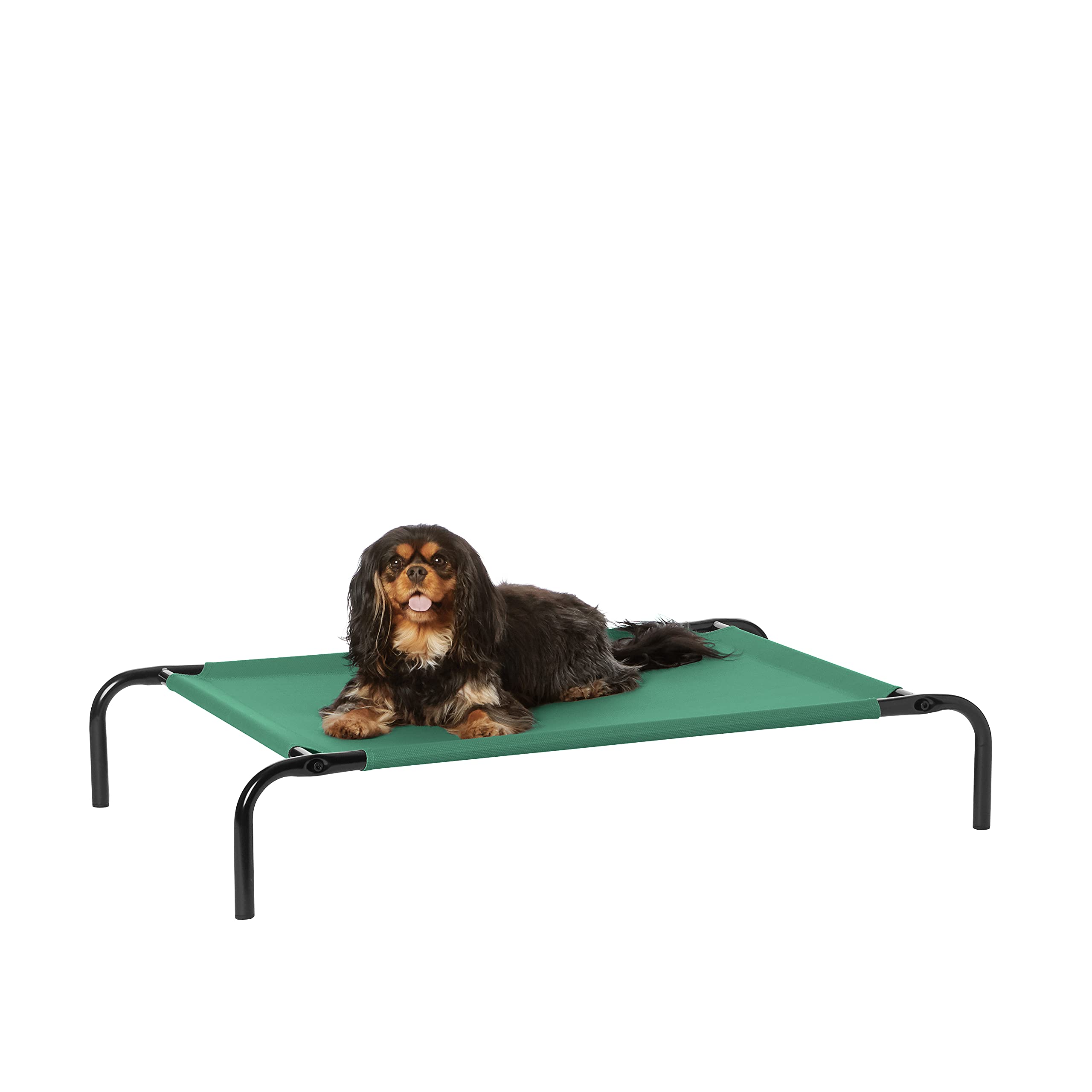 Amazon Basics Cooling Elevated Pet Bed, Small (36 X 22 X 7.5 Inches), Green