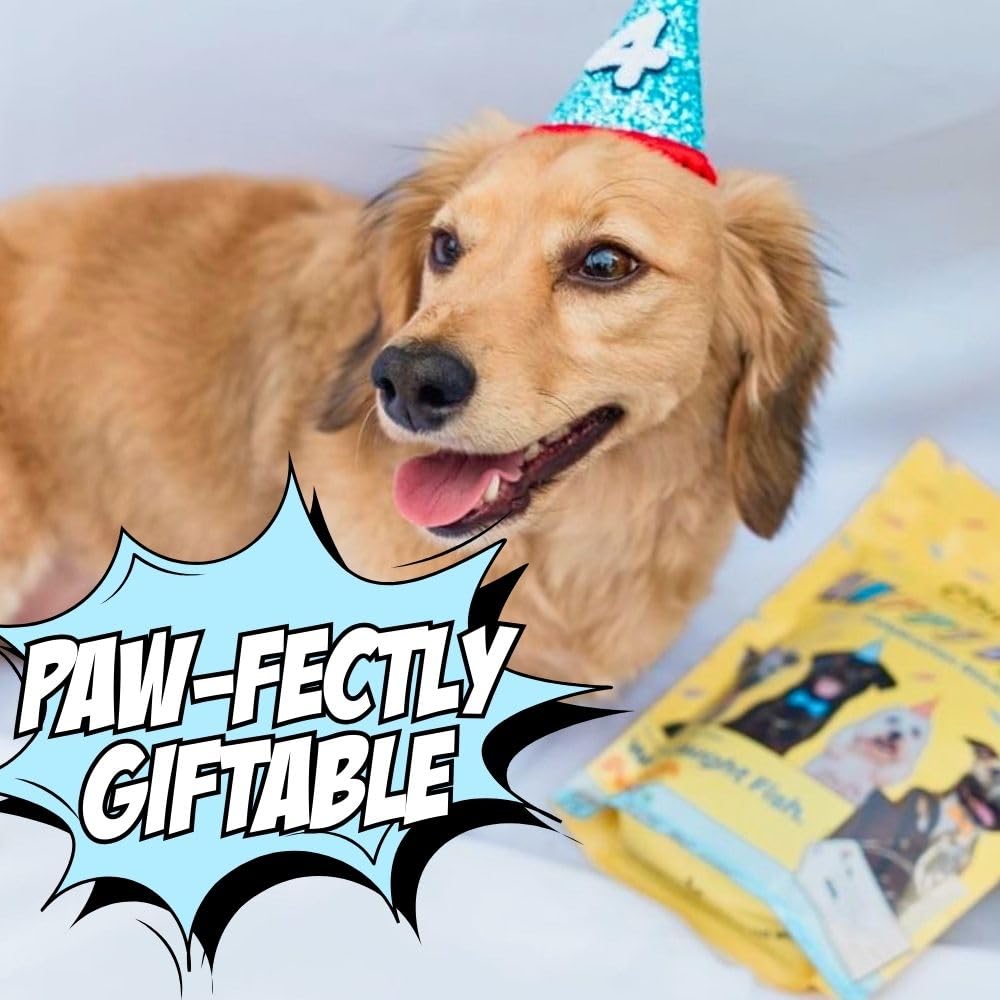Chippin Giftable Soft Dog Treat | Wild-Caught Fish & Pumpkin Jerky for Dogs | Dog Birthday, Adoption, No Chicken, Grain-Free, Hy