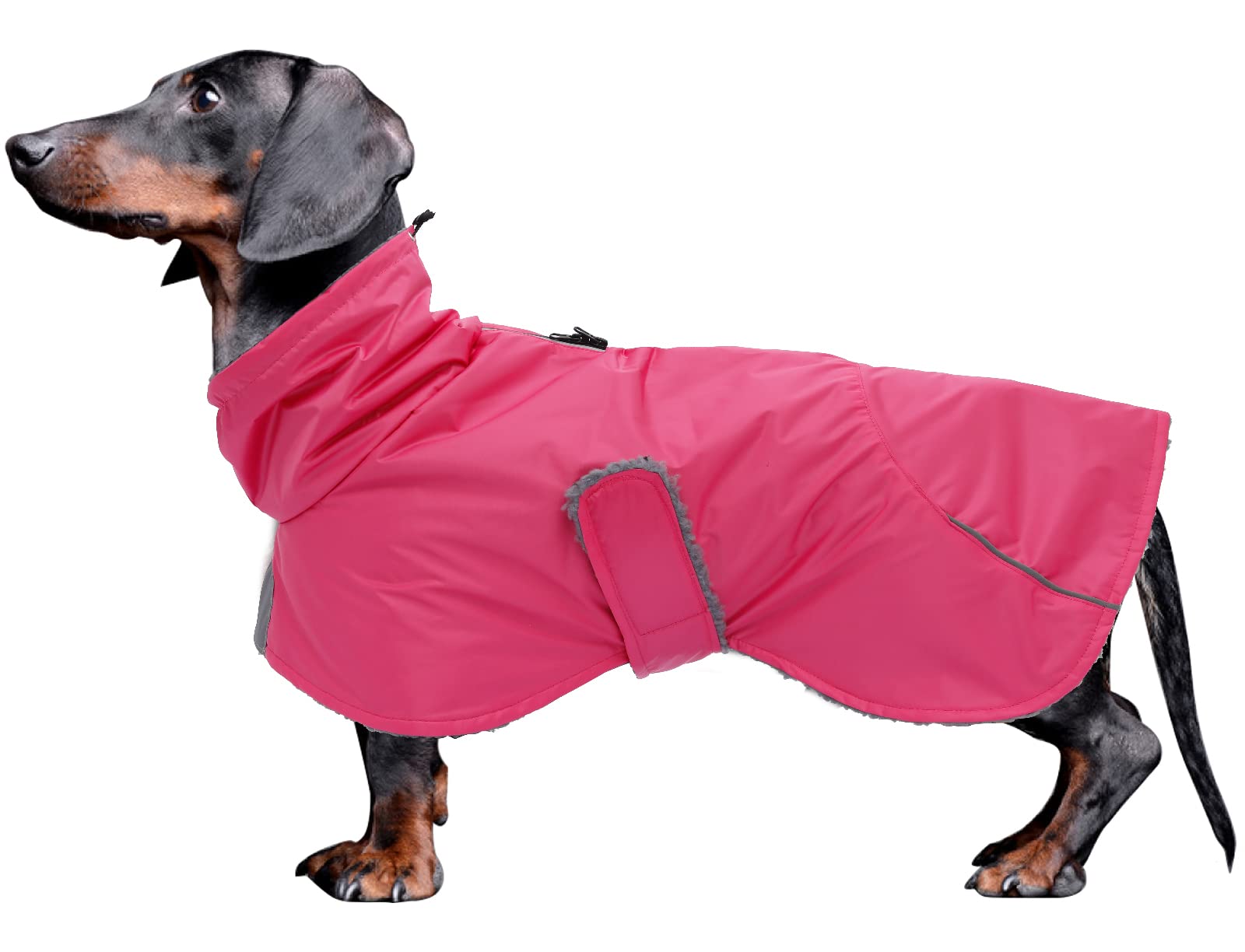 Dachshund Coats Waterproof, Perfect For Dachshunds, Sausage, Weiner Dog Winter Coat With Padded Fleece, Puppy Snowsuit With Adjustable Bands And High Vis Reflective Trim - Black - Xs