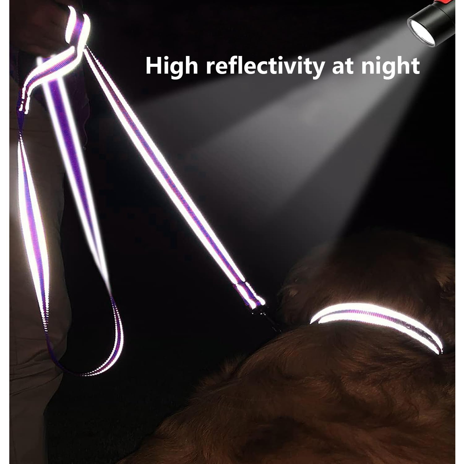 Penseepet Dog Leash 6 Ft Padded Handle Nylon Reflective Dogs Leashes For Large Dogs Purple