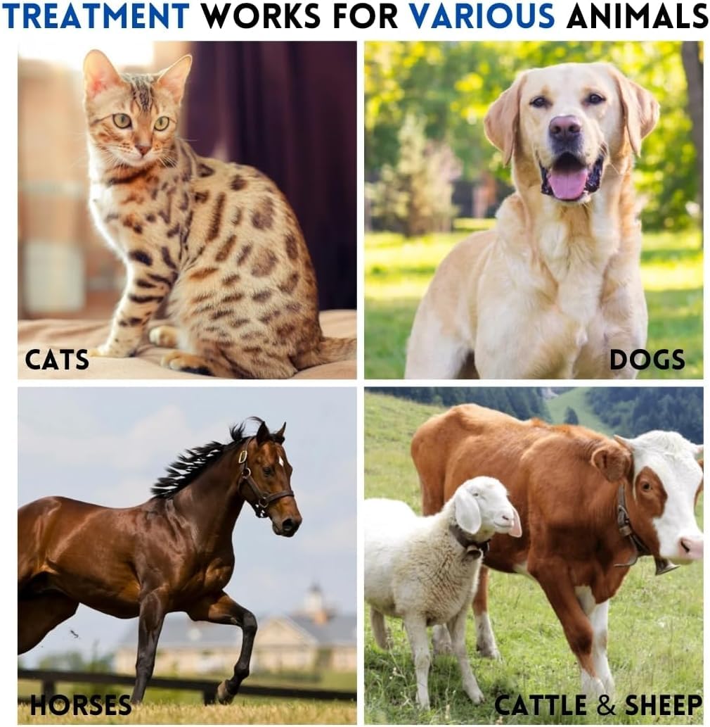 PassionBox Eye Health for Dogs, Cats, Cattle, Sheep, Horse, Bird 1/8 oz /3.5gr - 1 pcs Tube+Metal Box