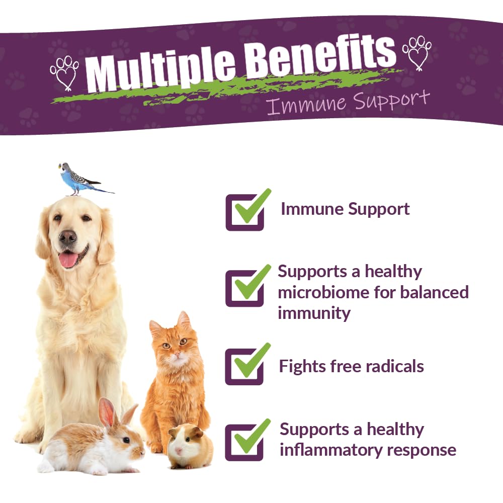 Amber NaturalZ Vibactra Immune Support Herbal Supplement for Dogs, Cats, Birds, Guinea Pigs, and Rabbits | Pet Herbal Blend for