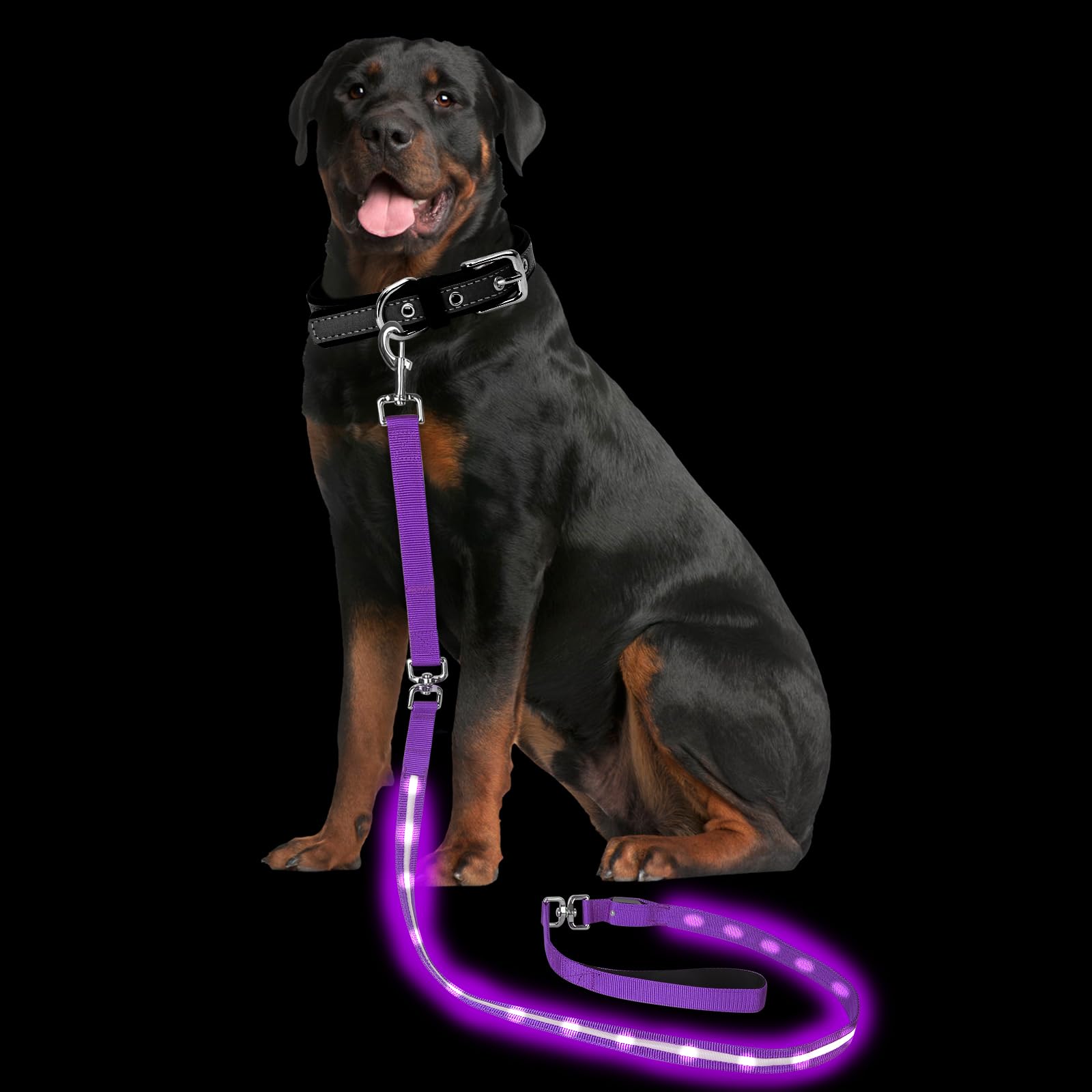 Petisay Light Up Dog Leash For Night Walking - Usb C Rechargeable - Waterproof - Dog Leashes With Flashlight - Led Leash For Dog