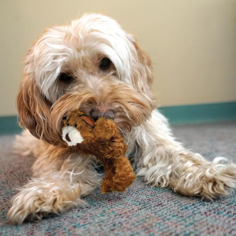 KONG Low Stuffing Squeaker Dog Toy, X-Small, Multi-Color Plush, Bear, Duck, Frog, Model KON-6034