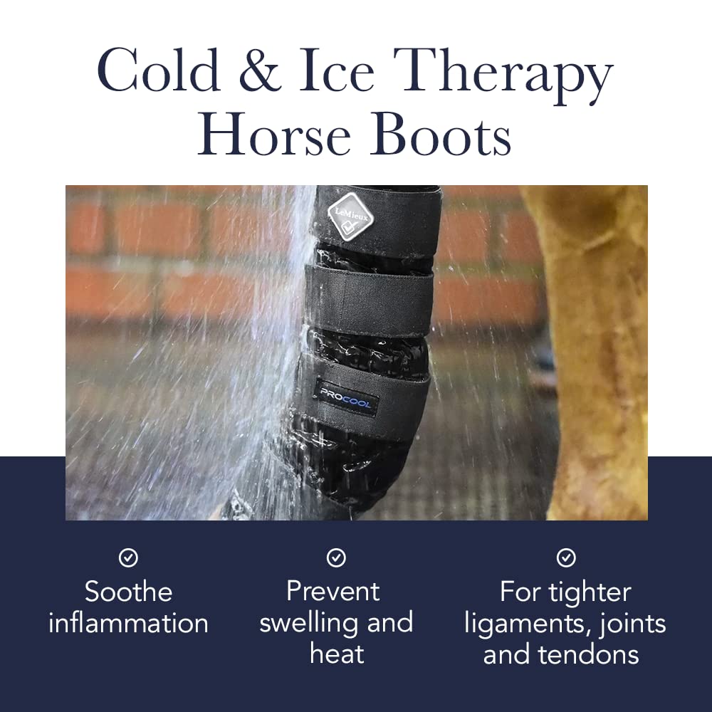 Lemieux Proice Freeze Therapy Horse Boots - Protective Gear And Training Equipment - Equine Boots, Wraps & Accessories - Medium
