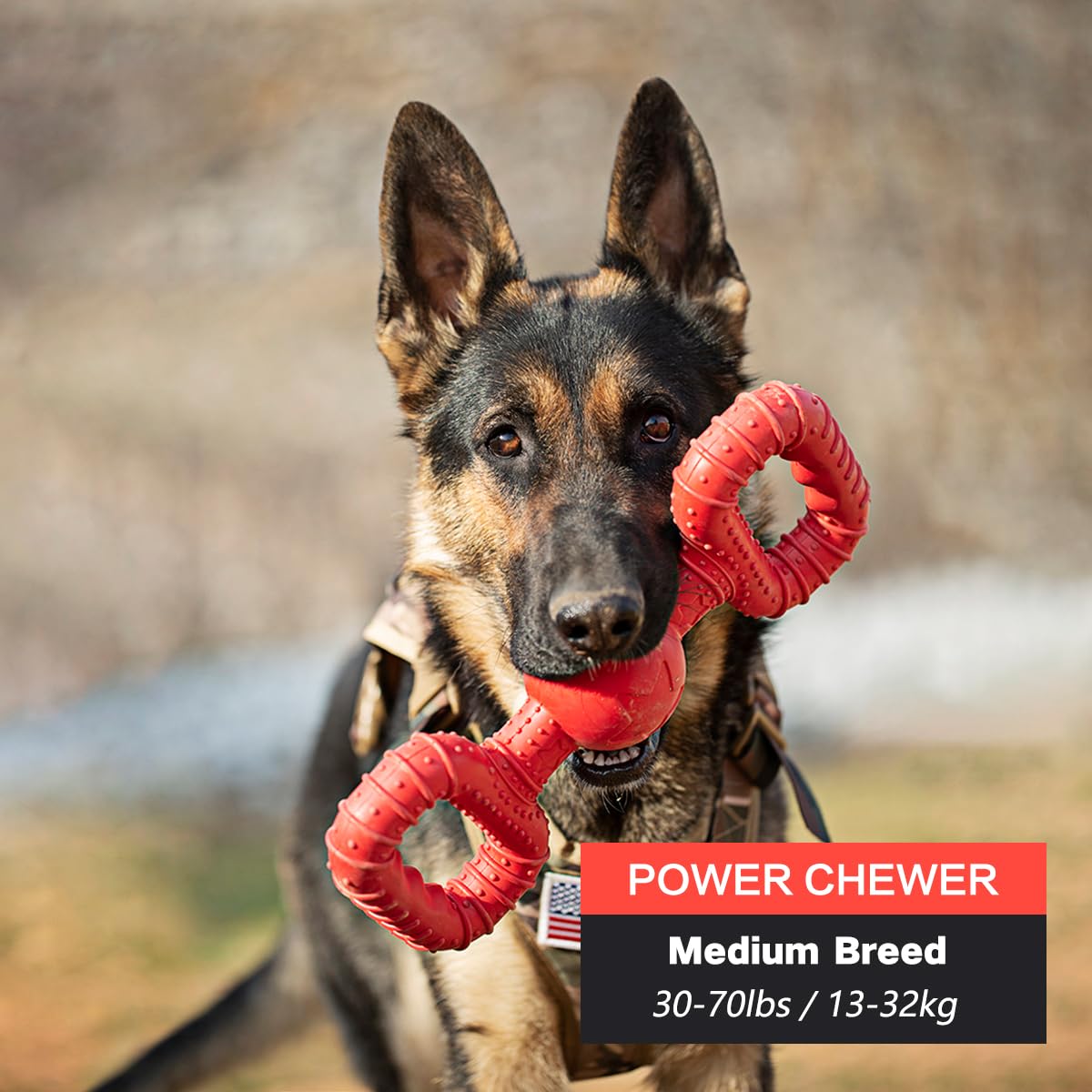 BiteKing Natural Rubber Dog Toys for Medium Aggressive Chewers - Lifetime Replacement - Tough Tug War Dog Toy for Medium Dogs To