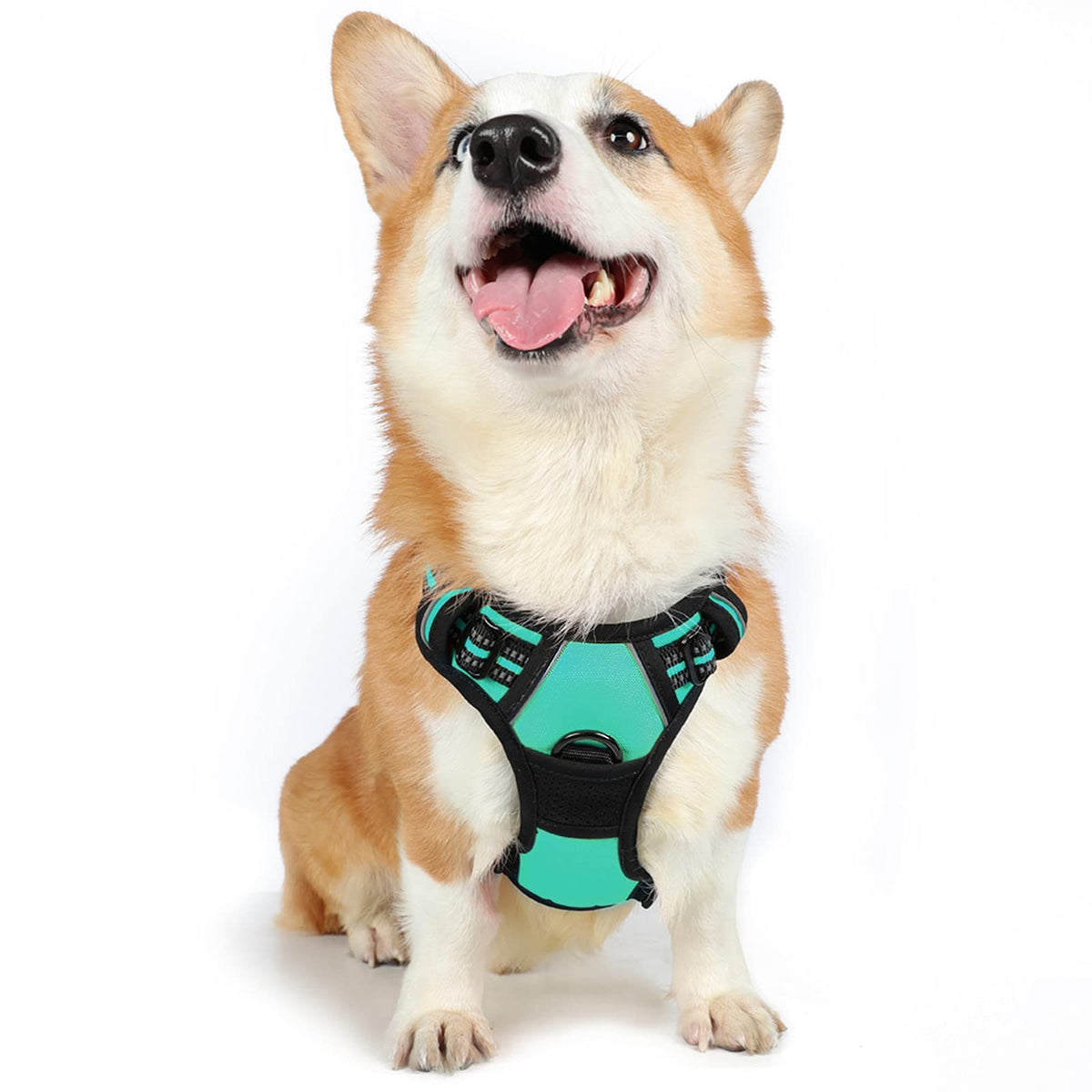 Rabbitgoo Dog Harness, No-Pull Pet Harness With 2 Leash Clips, Adjustable Soft Padded Dog Vest, Reflective No-Choke Pet Oxford Vest With Easy Control Handle For Medium Dogs, Turquoise, M