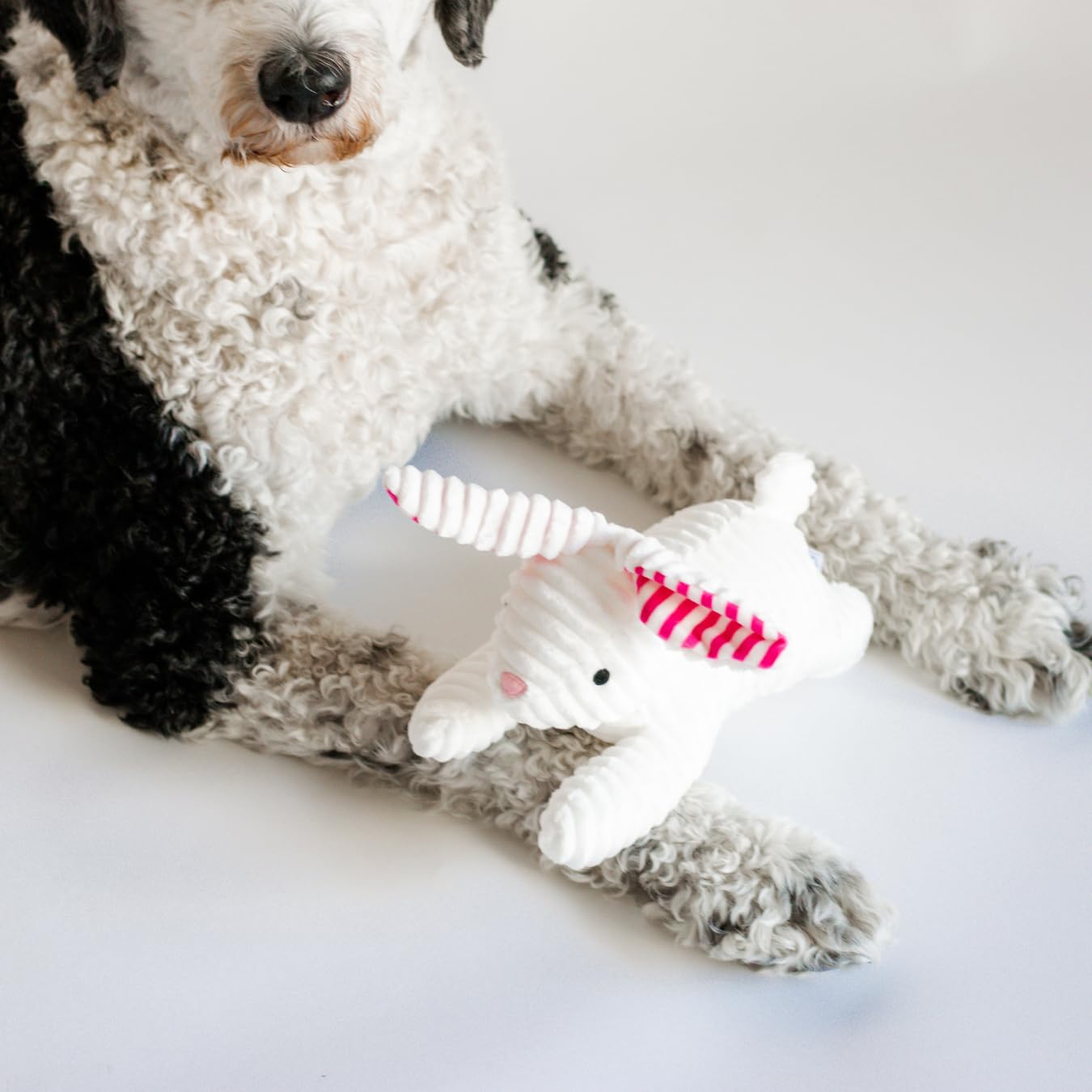 Midlee Stripe Ears White Easter Rabbit Dog Toy