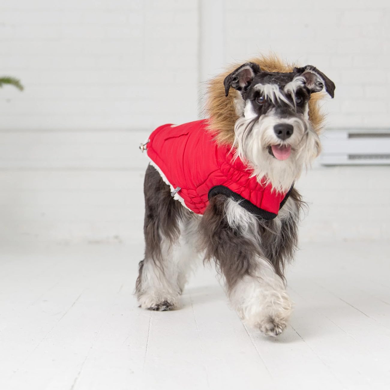 Gf Pet Urban Parka - Windproof & Insulated Winter Coat For Dogs - Stylish & Comfortable Parka Jacket - Adjustable Fit - 2Xl, Red