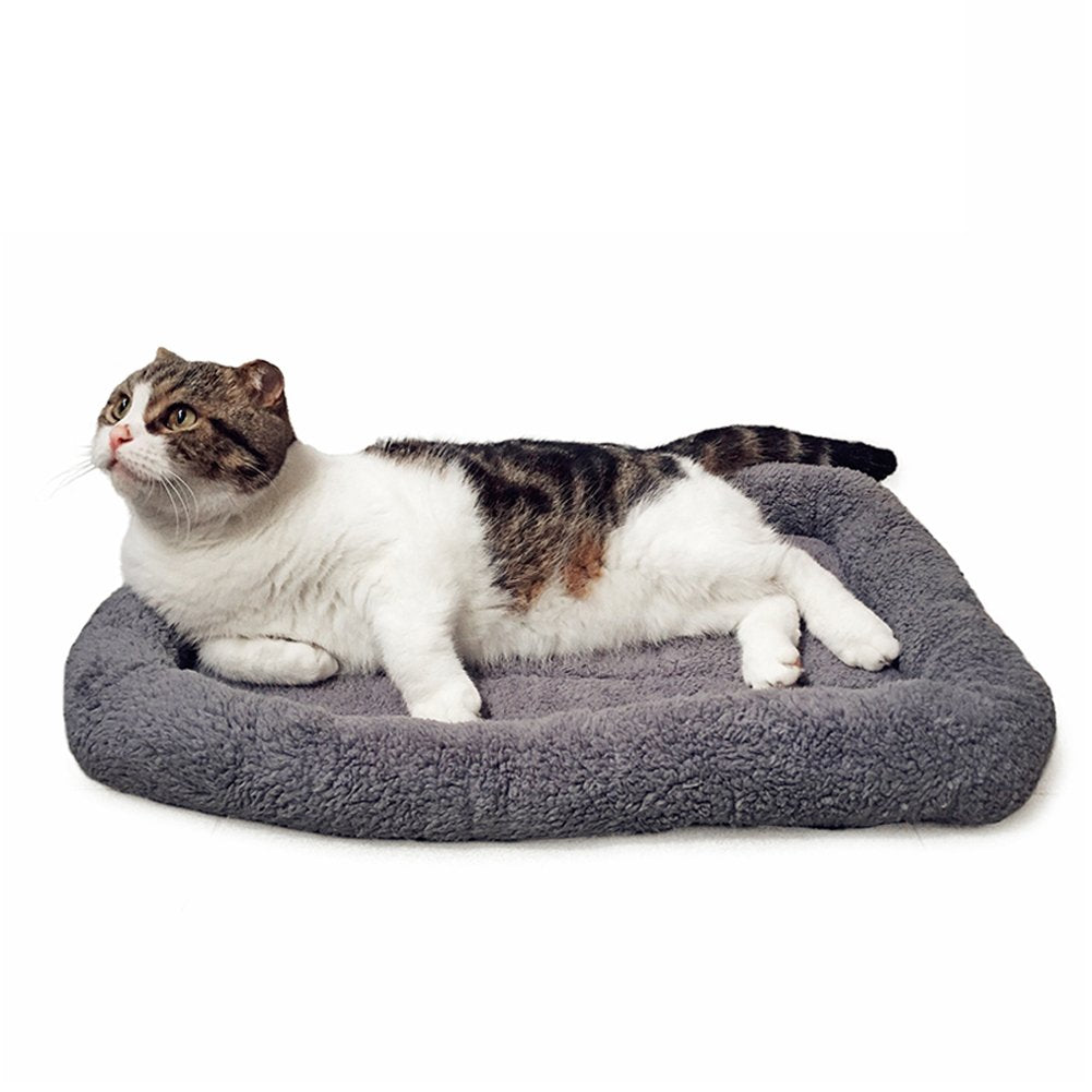 Lesypet Cat Beds For Indoor Cats, Pet Mats For Curl Sleep Plush Cushion Washable Pet Bed For Cats Dogs With Anti-Slip Bottom, Medium 24' X 18'