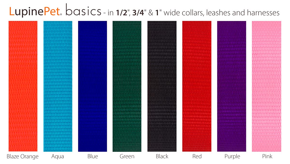 Lupine Breakaway Cat Collar 1/2 Wide Aqua adjusts 8-12