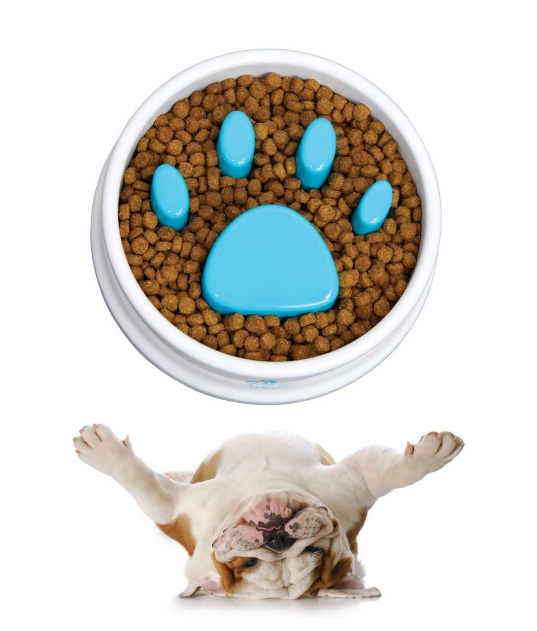 Bitrexup Pet Slow Feeder Bowl Slow Feeder Dog Fun Feeder No Chocking Slow Polypropylene Feeder Bloat Stop Food Water Bowl For Do