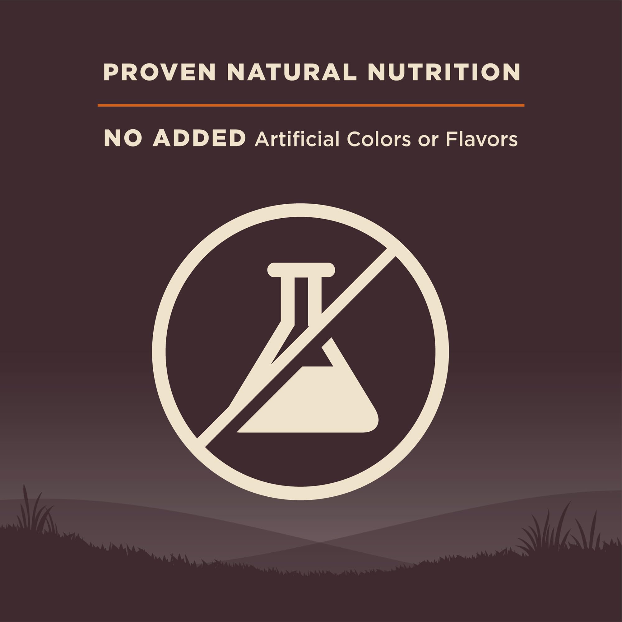 Wellness Natural Pet Food CORE Grain-Free High-Protein Small Breed Dry Dog Food, Natural Ingredients, Made in USA with Real Meat