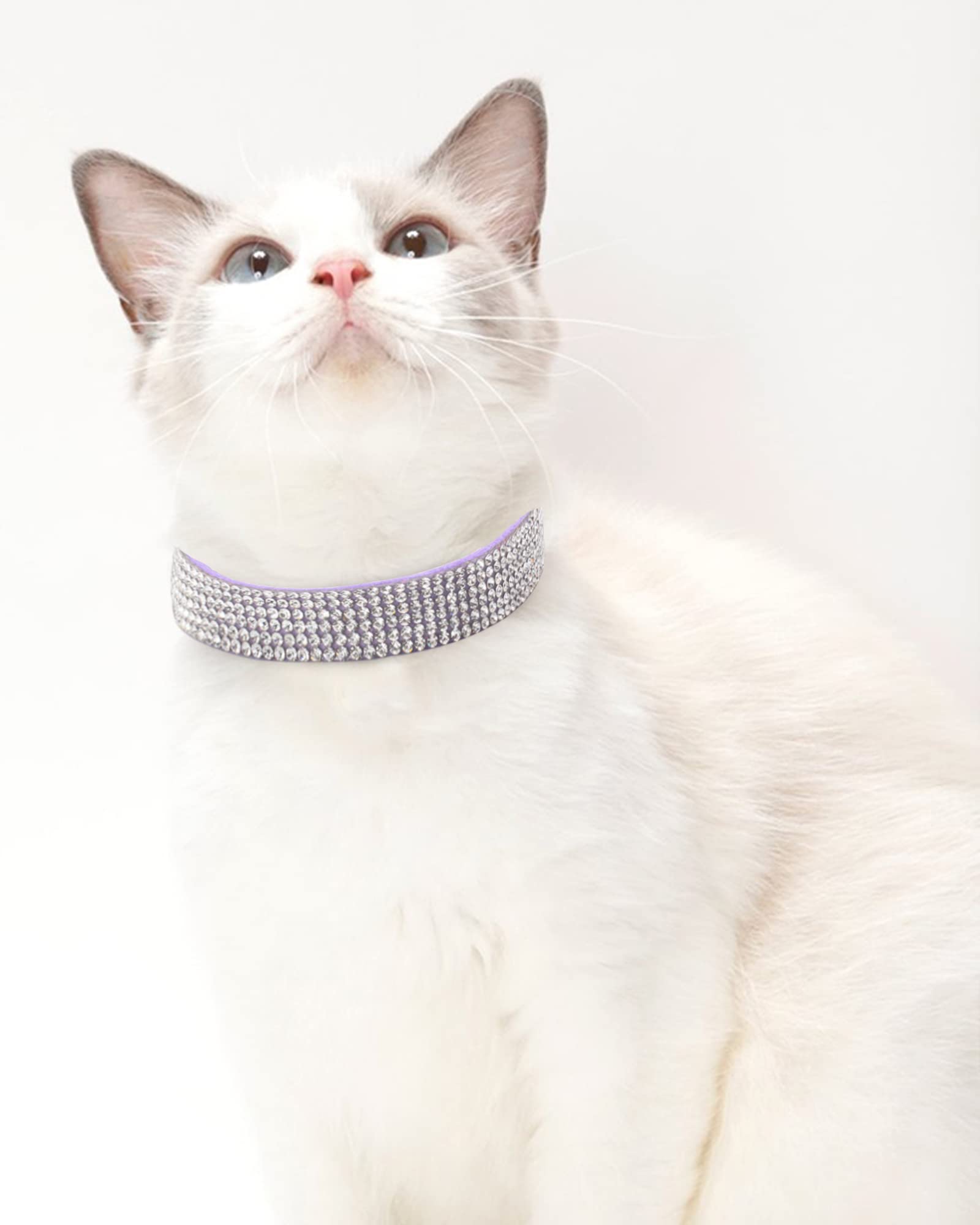 Dog Collar For Large Dogs, Adjustable Leather Suede Bling Dog Collars,Purple Dog Collar Cat Collar, Rhinestone Dog Collar(L, Pur