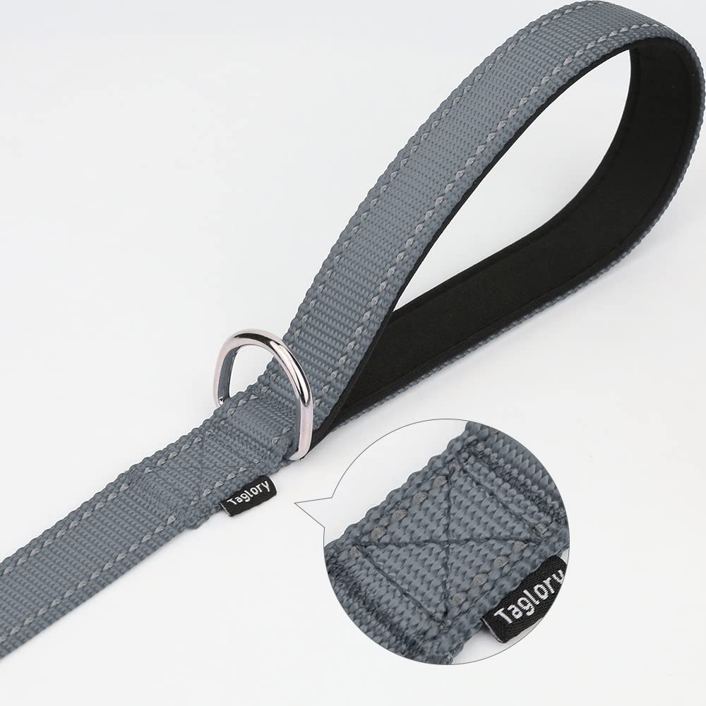 Taglory Double-Sided Reflective Heavy Duty Dog Leash 4Ft 5Ft 6Ft,Neoprene Padded Handle And Metal Hook Pet Training Leashes For Small Medium Large Dogs, Grey