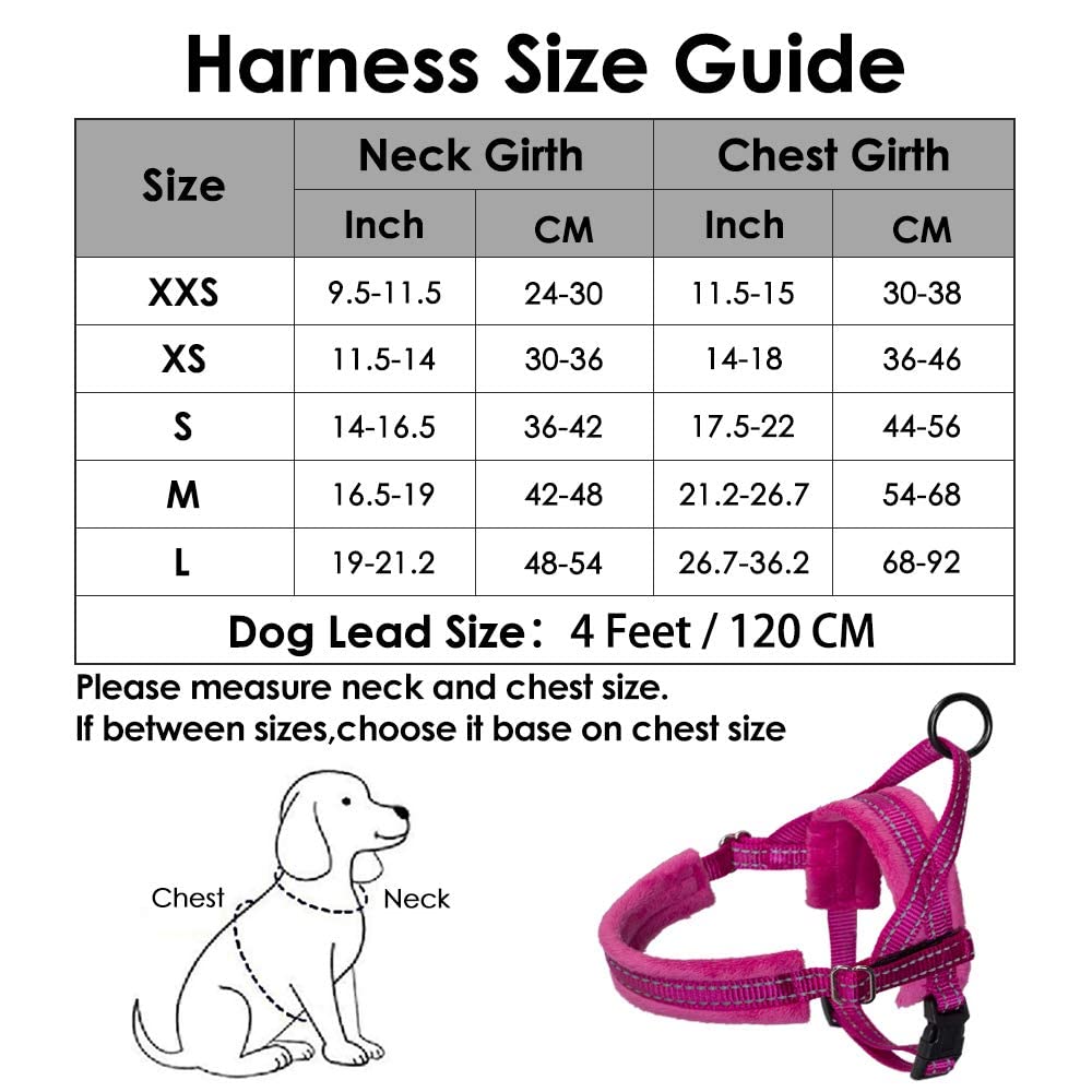 Slowton No Pull Small Dog Harness And Leash Set, Puppy Soft Vest Harness Neck & Chest Adjustable, Reflective Lightweight Harness & Anti-Twist Pet Lead Combo For Small Medium Dogs(Fu,M)