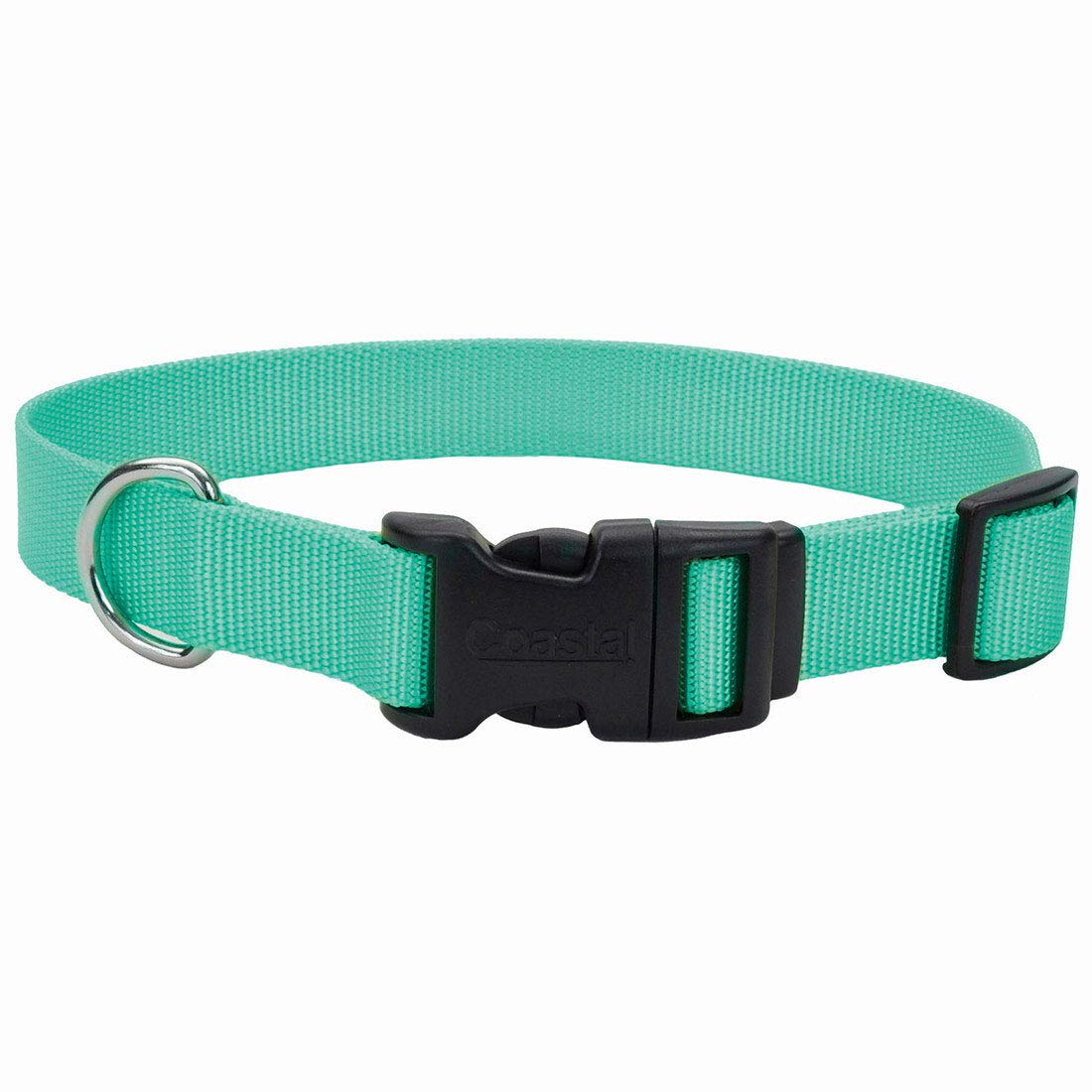 Coastal Pet Teal Nylon Adjustable Dog Collar With Plastic Buckle