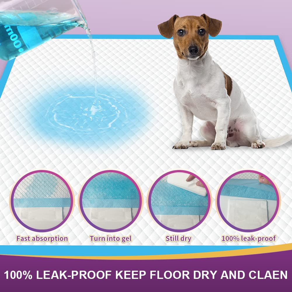IMMCUTE Extra Large Dog Pee Pads - XX-Large 36"x36", Super Absorbent & Leak-Proof, Disposable for Puppies, Dogs, Cats, Rabbits - Blue