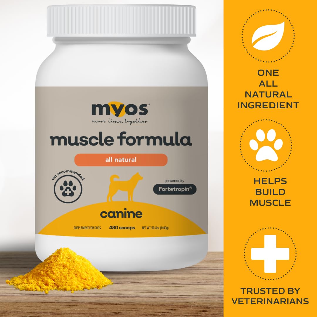 MYOS Canine Muscle Formula - All-Natural Muscle Building Supplement - Helps Reduce Muscle Loss in Aging Dogs and Improve Recover