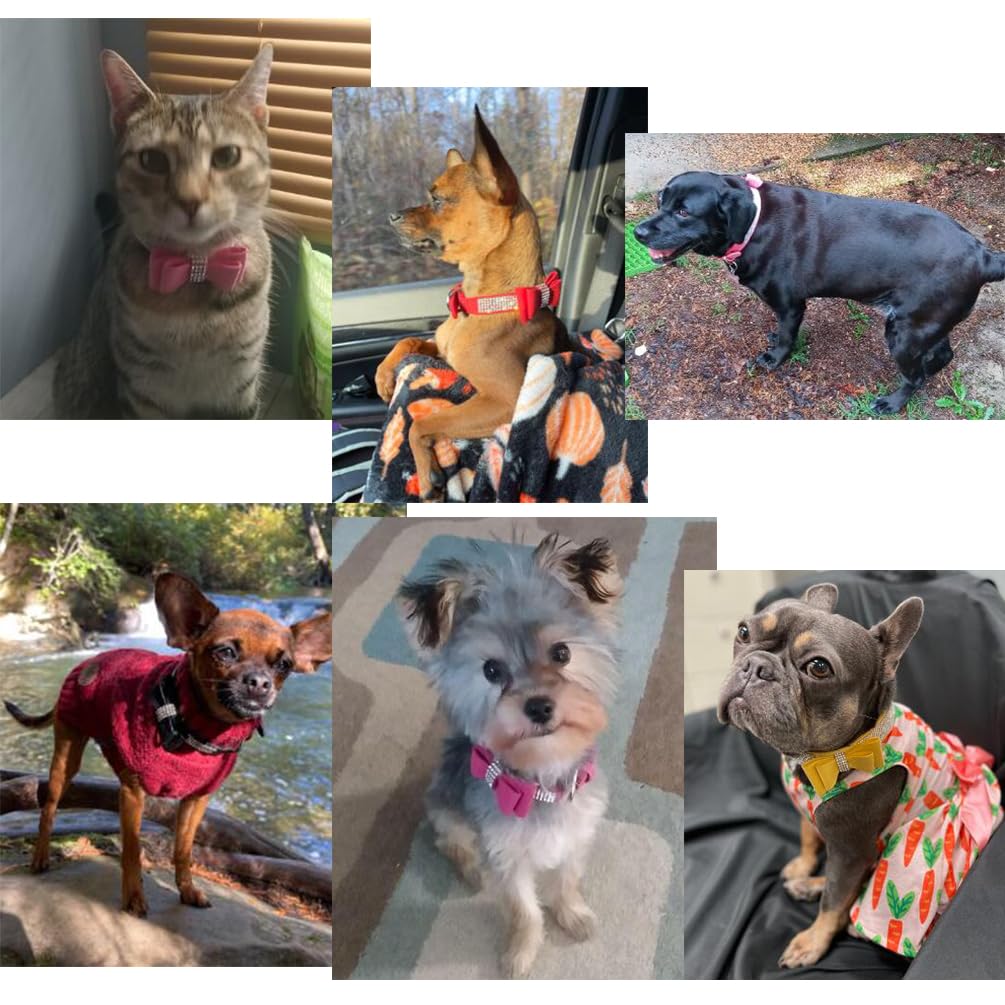 Rhinestone Dog Collar with Bow Tie, Cute Knot Crystal Bling Diamond Glitter Puppy Collars for XXS XS Small Medium Large Pet Girl