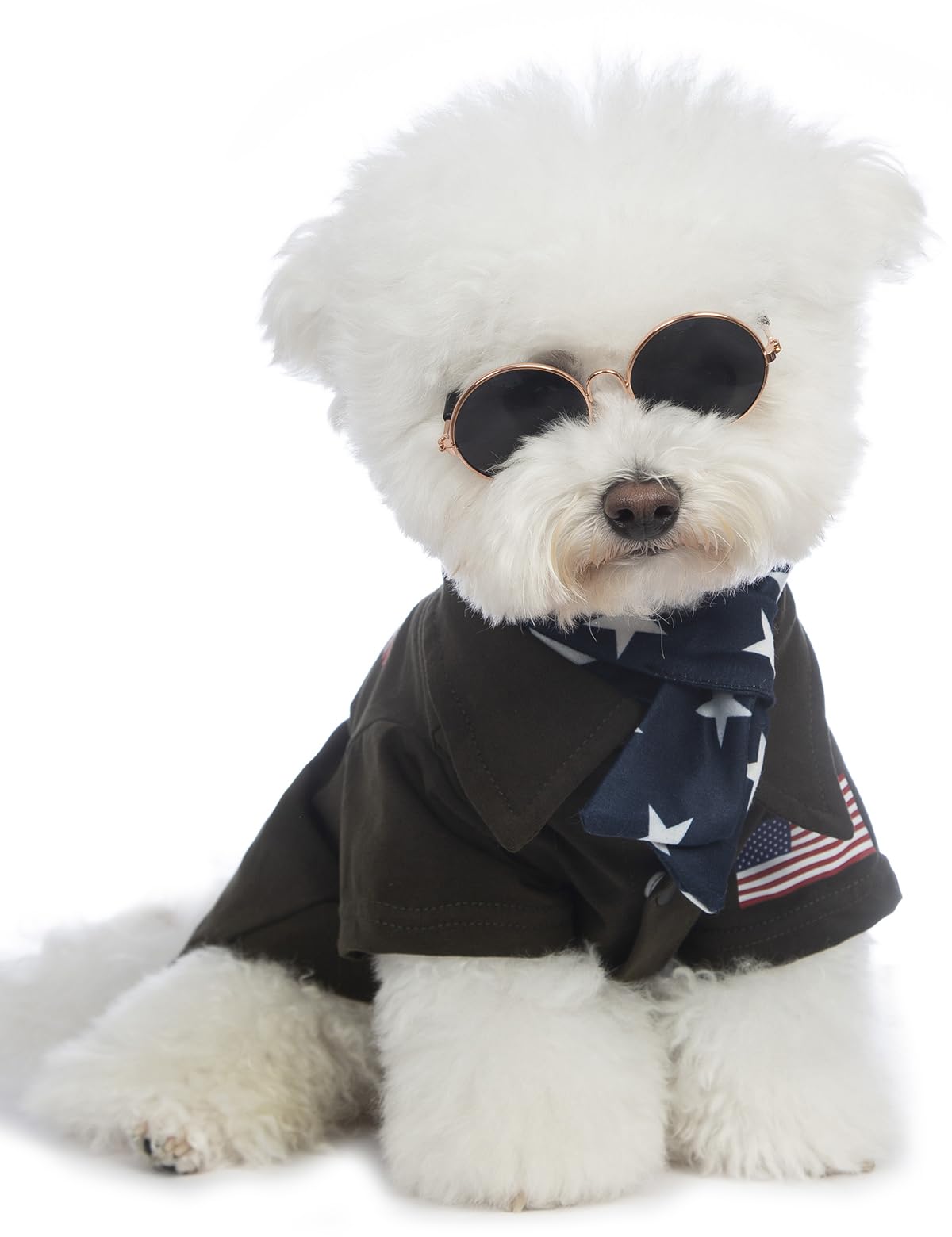Coomour Pilot Dog Shirts Funny Pet Clothes And Star Scarf Dogs Captain Clothing With Puppy Glasses (M)