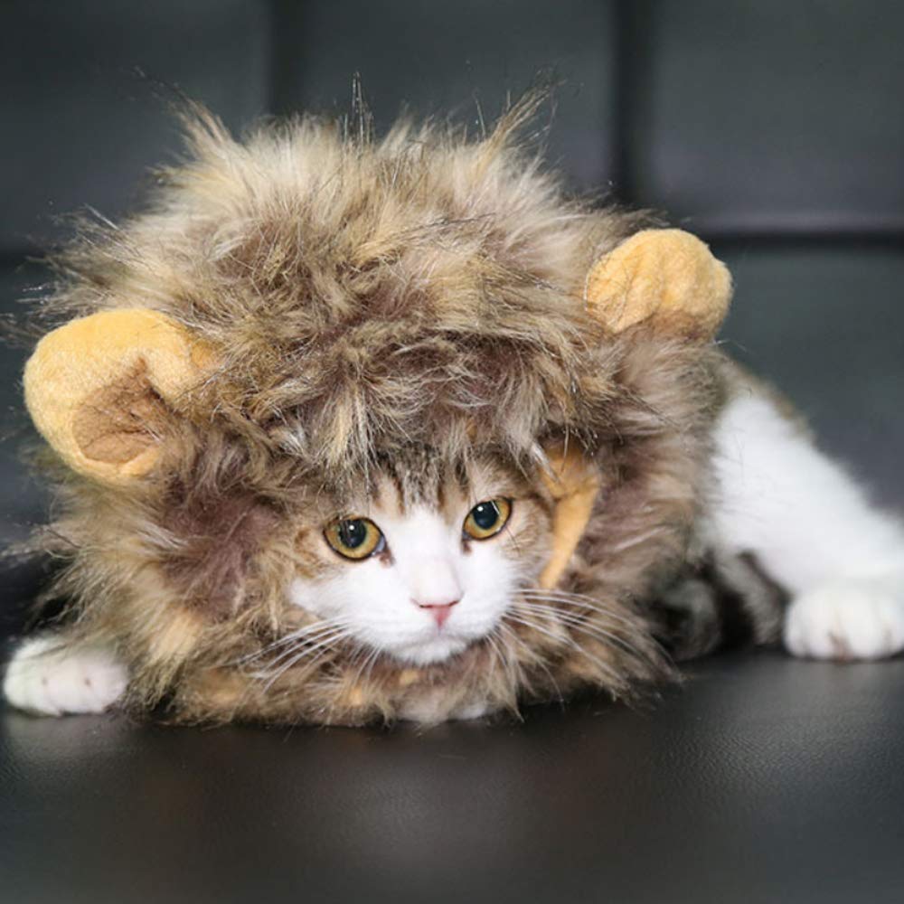 SNIK-S Cat Wigs Lion Mane Wig with Ears- Fancy Costume Hair Lion Hat for Halloween and Cosplay Party (S)