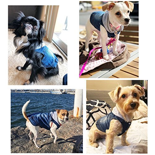 Sild Pet Clothes Dog Jeans Jacket Cool Blue Denim Coat Small Medium Dogs Lapel Vests Classic Hoodies Puppy Blue Vintage Washed Clothes (Grey,S)