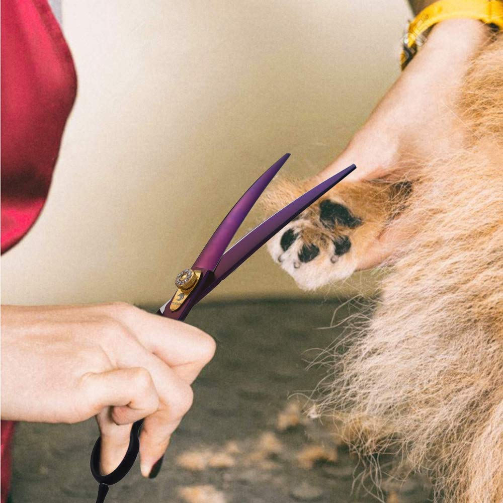 Dream Reach 7.0 Inches Professional Decompressed Elastic Handle Pet Grooming Scissors Set,Straight & Chunker & 2 Curved Scissors 4Pcs Set For Dog Grooming (Purple) (Down-Curved Scissor)