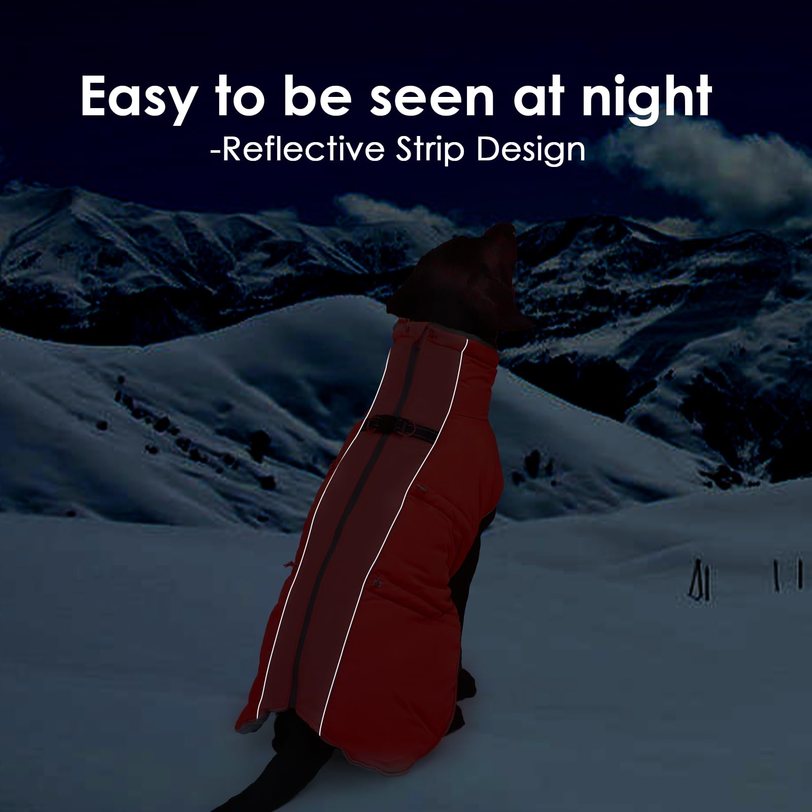 IKIPUKO Dog Coat - Warm Winter Jacket Snowsuit for Large Dogs, Water-Resistant, Reflective, Red
