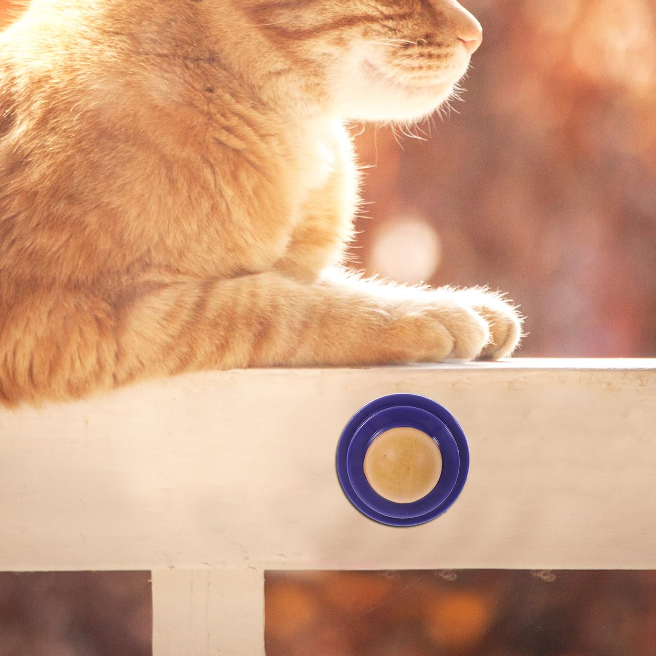 SUPVOX 2Pcs Catnip Sugar Candy Balls for Cats - Edible Cat Snacks, Kitten Treats, Helps Digestion, Playful Energy Balls with Dee