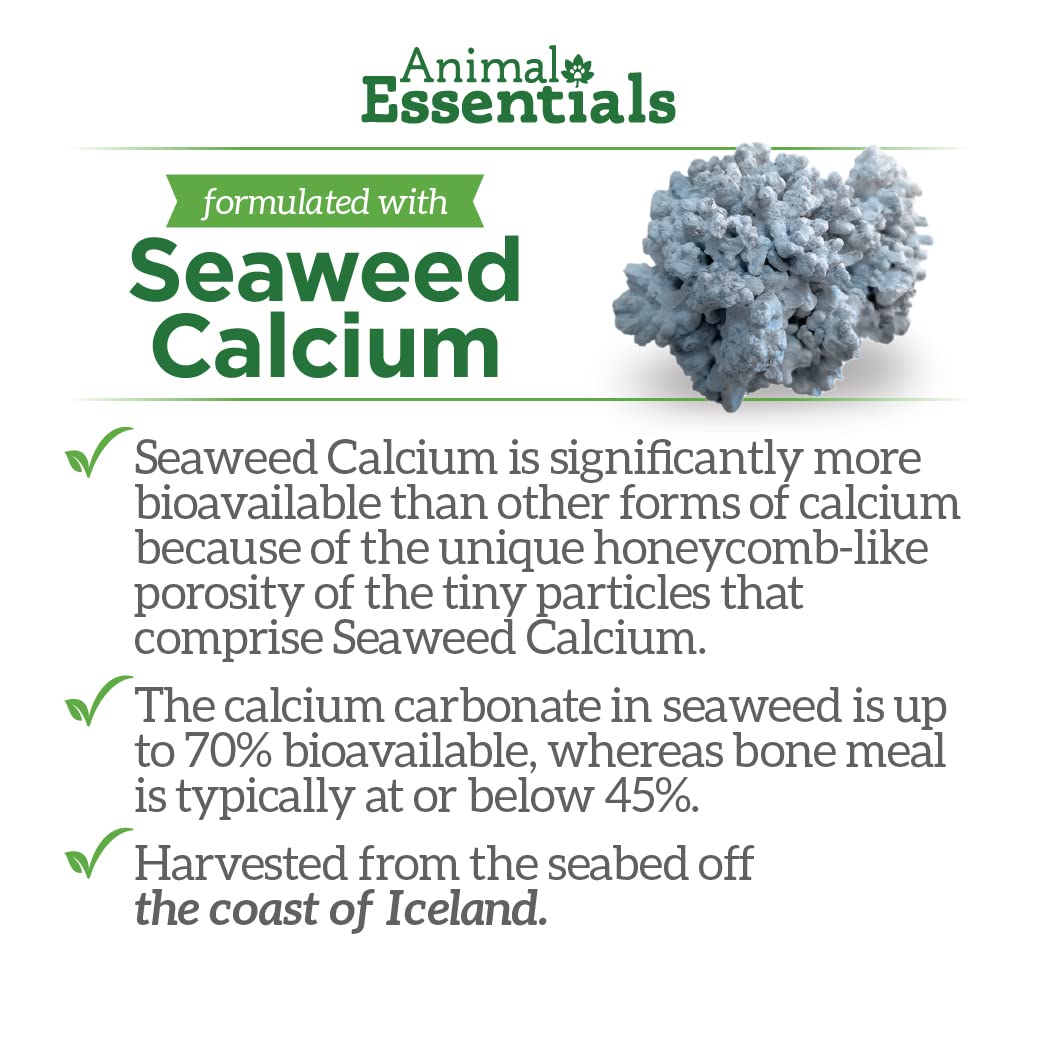 Animal Essentials Seaweed Calcium Supplement for Dogs & Cats, 12 oz (2-Pack), Multi-colored