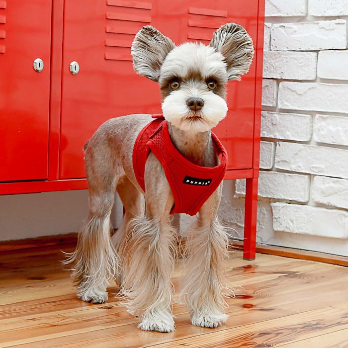 PUPPIA International PUAH305WNXL Soft Harness B Vest, X-Large, Wine Red