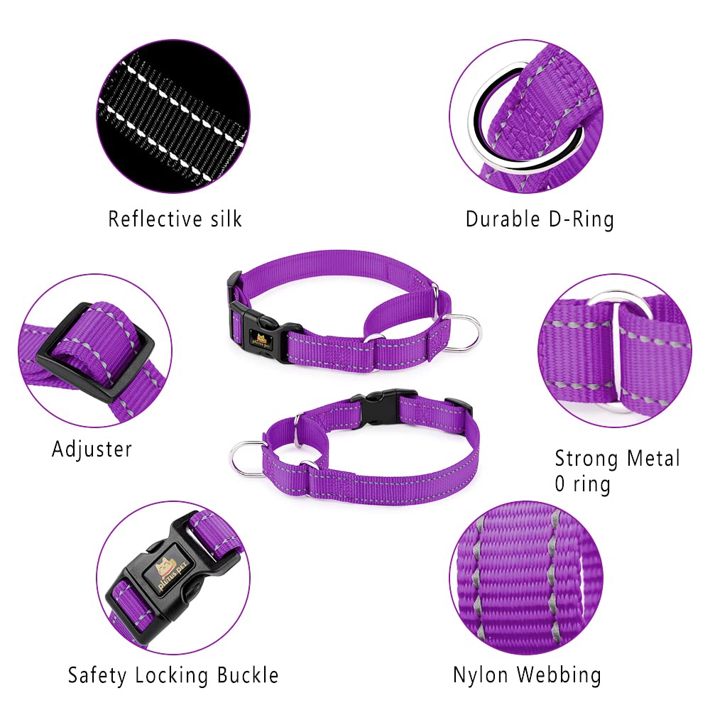 Plutus Pet Reflective Martingale Collar With Quick Snap Buckle,No Pull Dog Choker Collar For Small Medium Large Dogs,Xs,Purple
