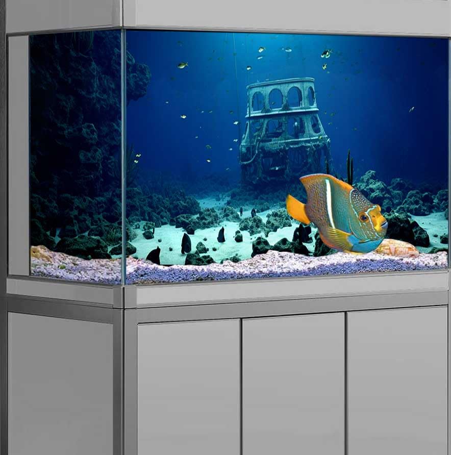 Dtekoj 48X24IN Natural Underwater Aquarium Background, Pictures 3D Fish Reef Fish Tank Decoration Background, with 8 EVA Double-