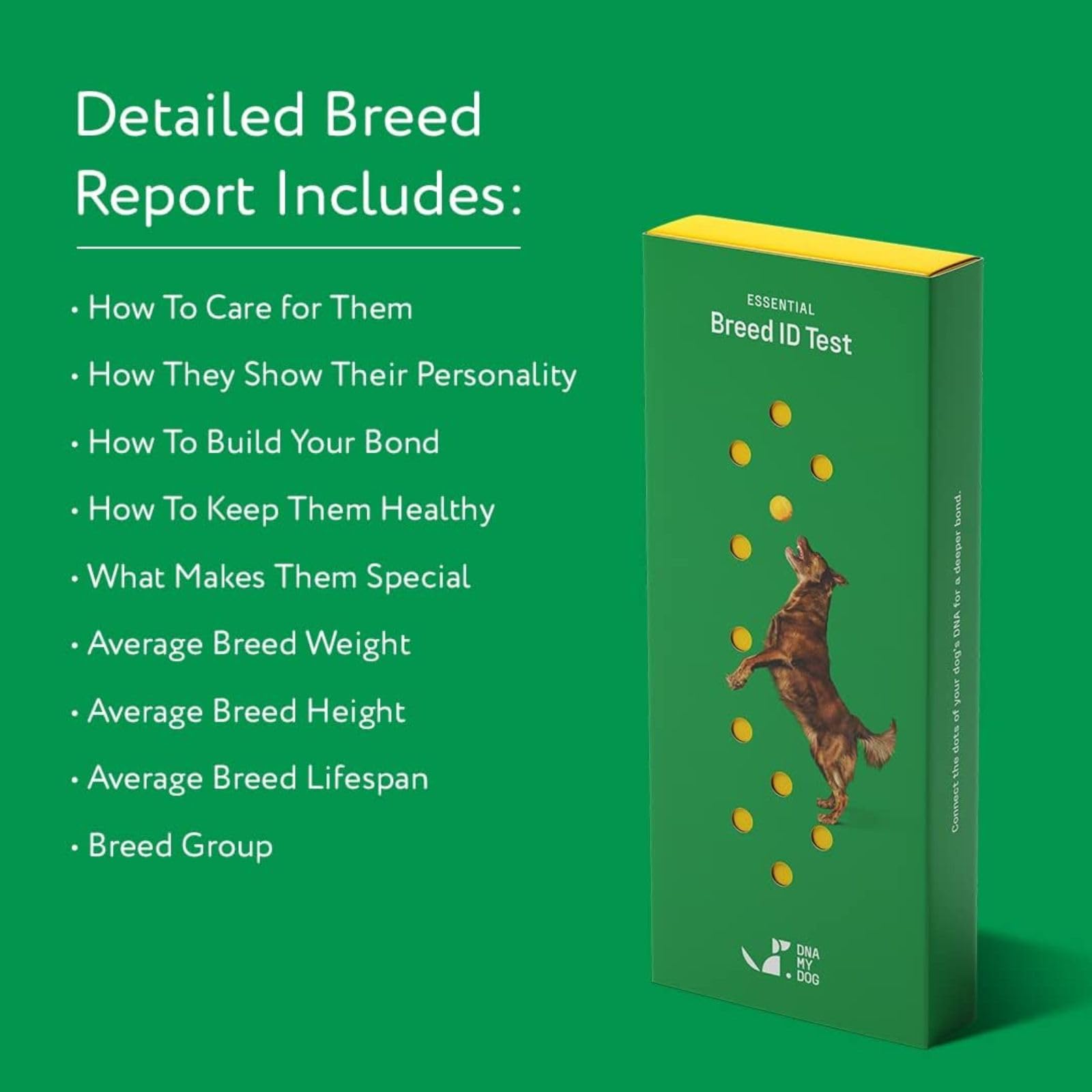 Dna My Dog - Essential Breed ID Test | 99% Accuracy | DNA Analysis of 360+ Dog Breeds | Fastest Turnaround Less Than 3 Weeks | L