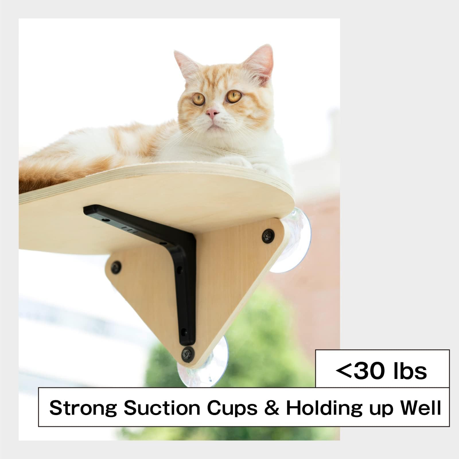 Mewoofun Cat Window Perch Hammock With Climbing Steps And Scratching Post Wooden Window Mounted Cat Bed For Indoor Cats (1 Cat Perch)