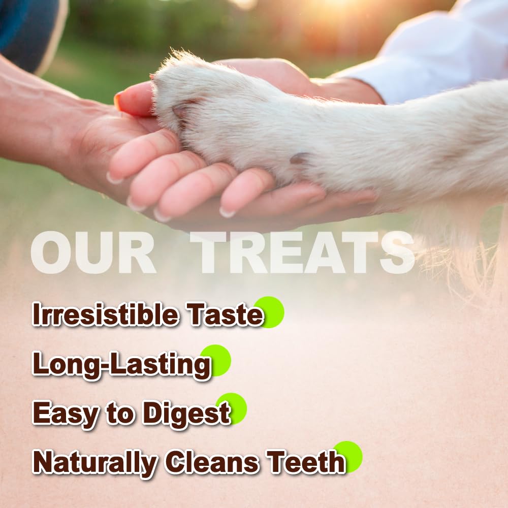 Afreschi Natural Turkey Tendon Rope (L) 1 Unit per Pack, Dog Treats for Signature Series, All Natural Human Grade Puppy Chew, Tu