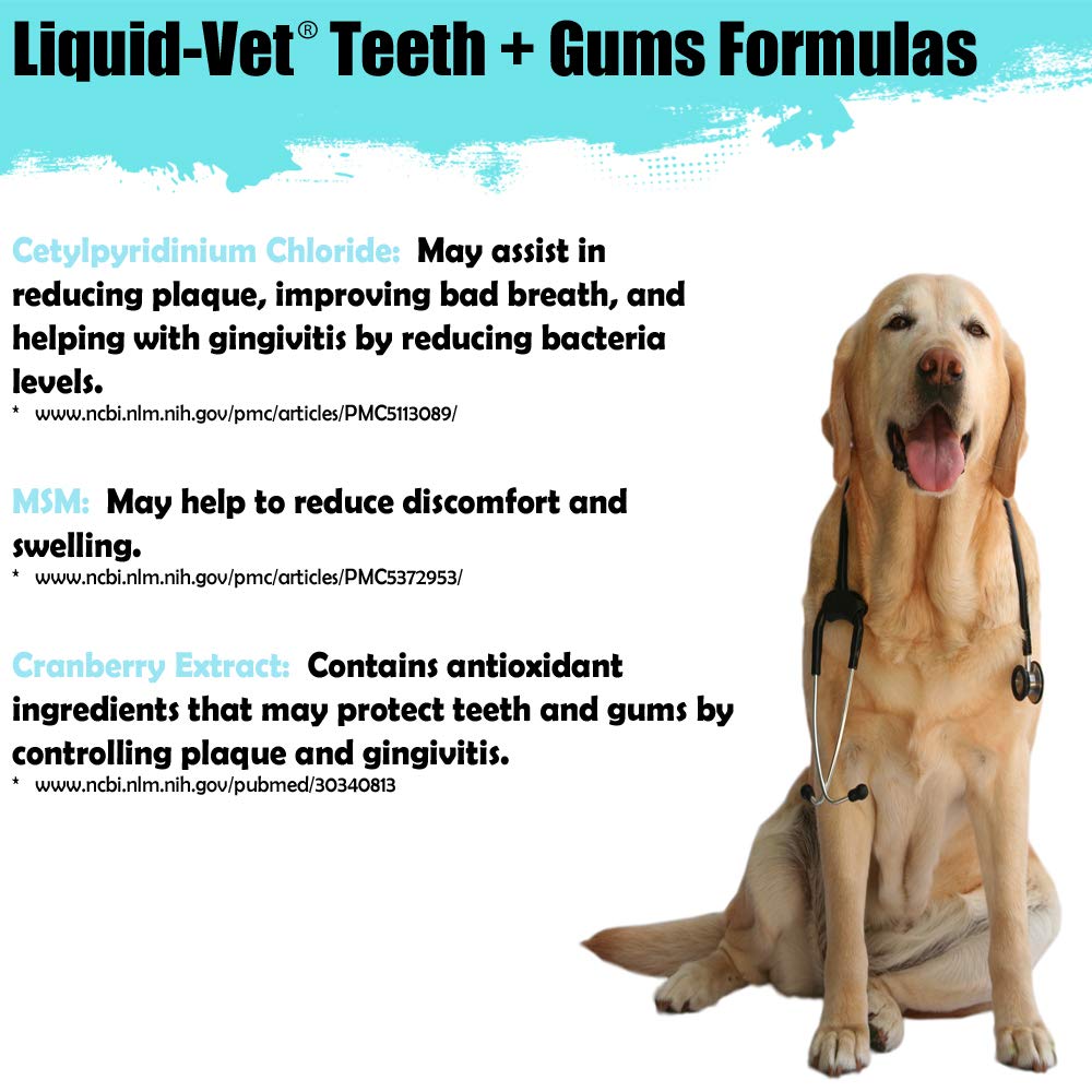 Liquid-Vet by COOL PET Holistics K9 Teeth & Gums Advanced Formula, Chicken Flavor, 32 oz