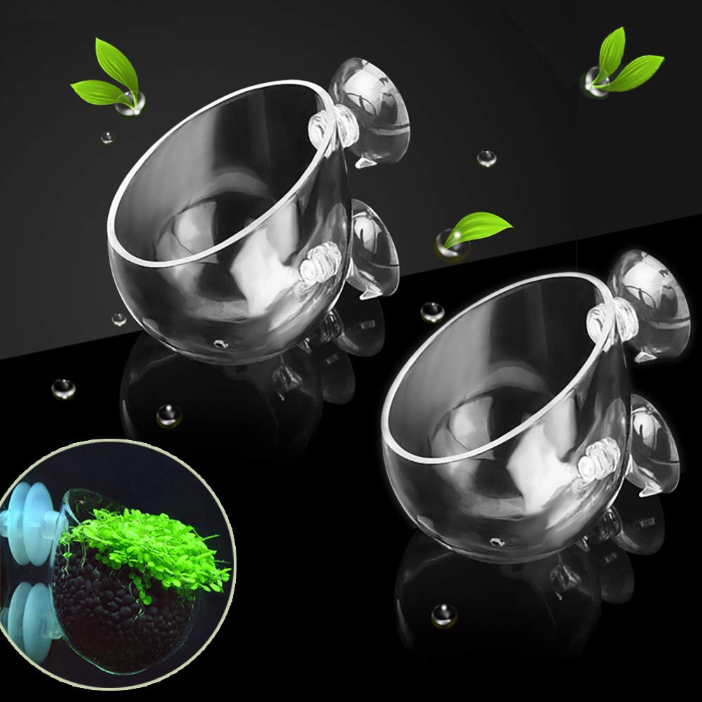 capetsma Aquarium Plant Pot, Glass Fish Tank Plants Holder Aquarium Planter, Aquarium Decoration Plants Cup with 2 Suction Cups 