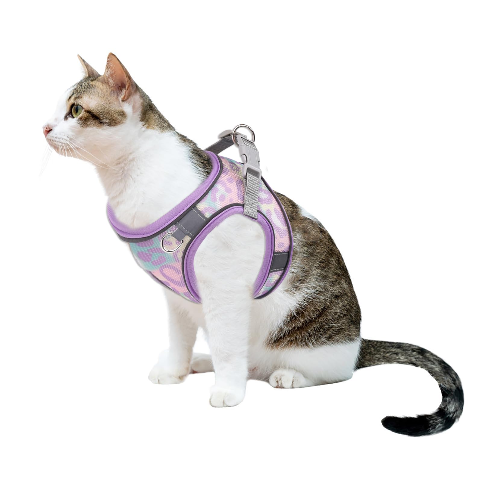 Btdcfy Step In Mesh Dog Harness And Leash Set - Breathable Air Mesh Reflective Escape Proof Vest - No Choke, Lightweight - Purpl