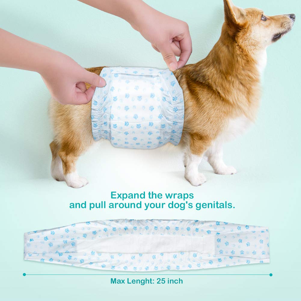 Flying Paws Male Dog Diapers - Absorbent Belly Bands for Incontinence, Medium, Pack of 44