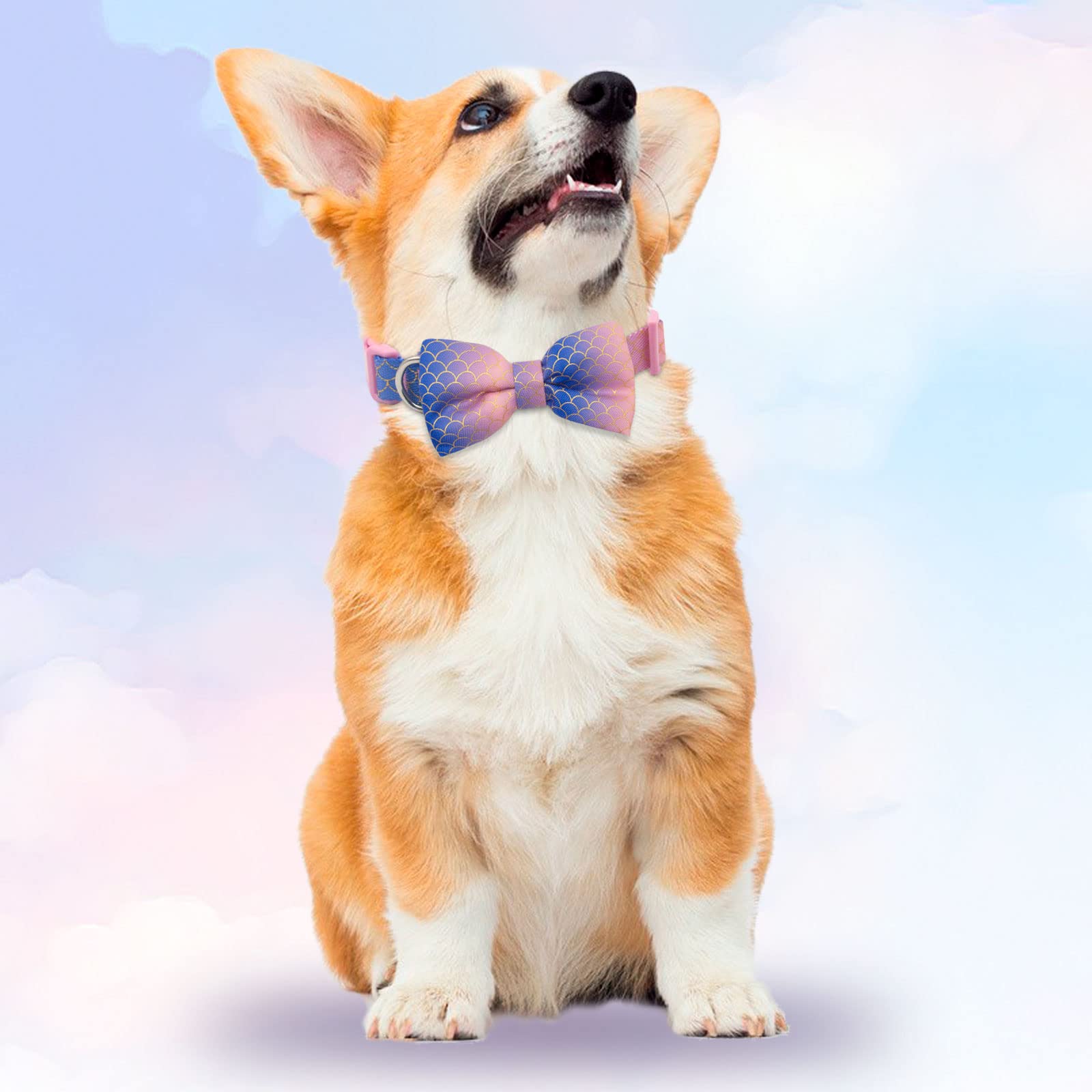 Azuza Bowtie Dog Collar Mermaid, Soft & Comfy Dog Collar With Removable Bow Gradient Color Size Adjustable Dog Collars For Mediu