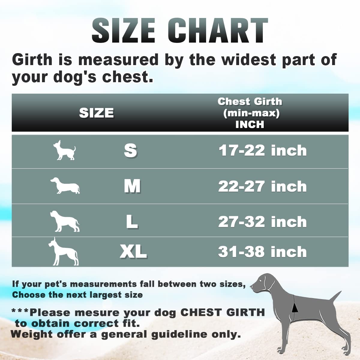 Barkbay No Pull Dog Harness Large Step In Reflective Dog Harness With Front Clip And Easy Control Handle For Walking Training Running With Id Tag Pocket(Blue,M)