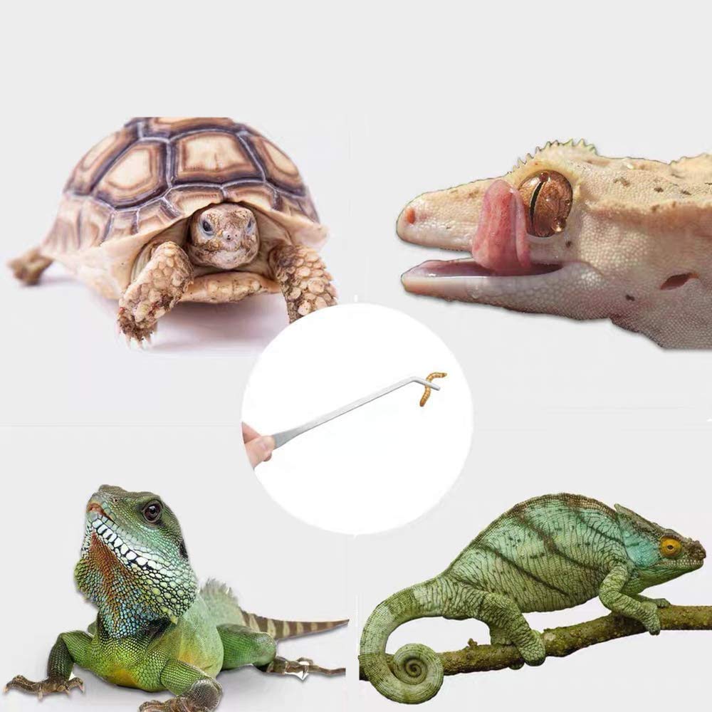 Alfyng 15 Inch Reptile Feeding Tongs Long Tweezers Cricket Clamp Bug Scooper, 3 Pcs Stainless Steel Straight And Curved Tweezers Feeder Tool For Snake Lizard Gecko Spider Bearded Dragon