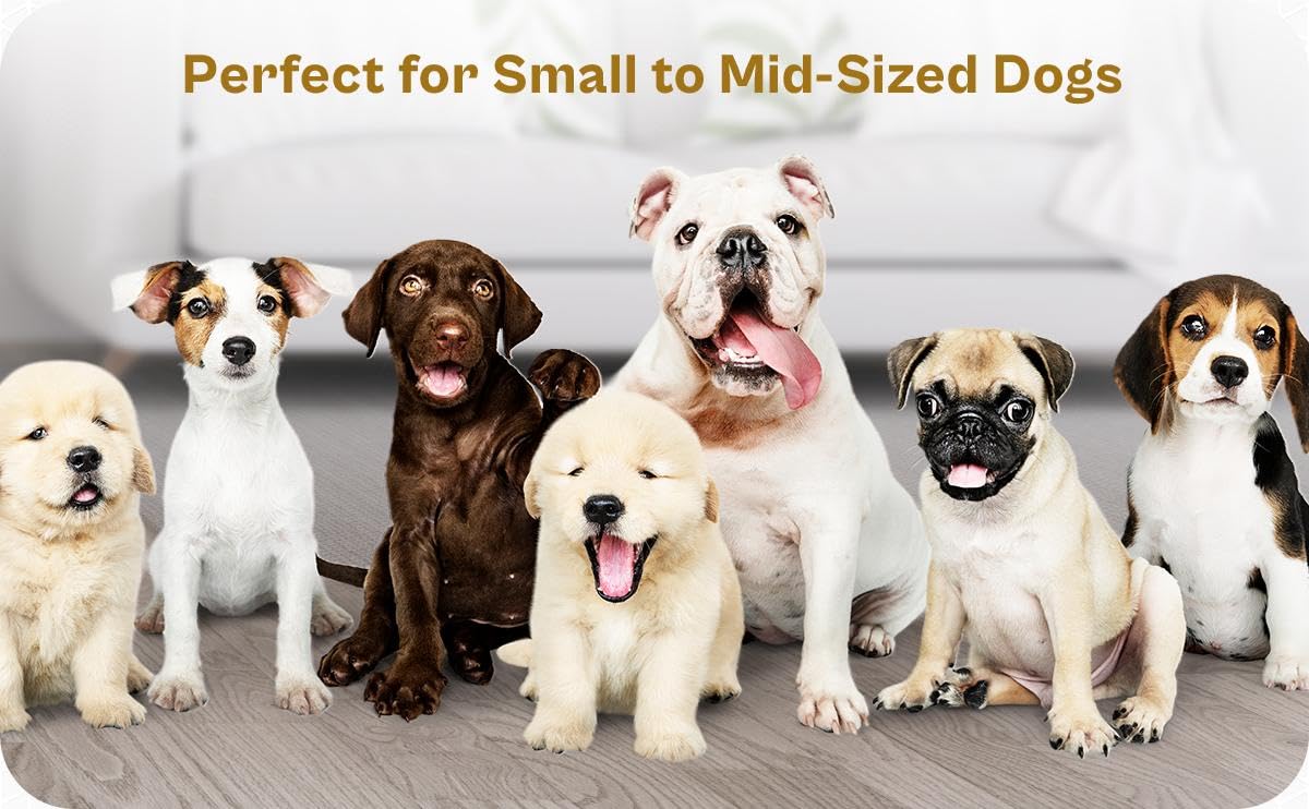 2 Ceramic Slow Feeder Dog Bowls for Small & Medium Dogs - Heavy Puzzle Maze Ceramic Dog Bowl for Fast Eaters to Stop Bloat, Vomi