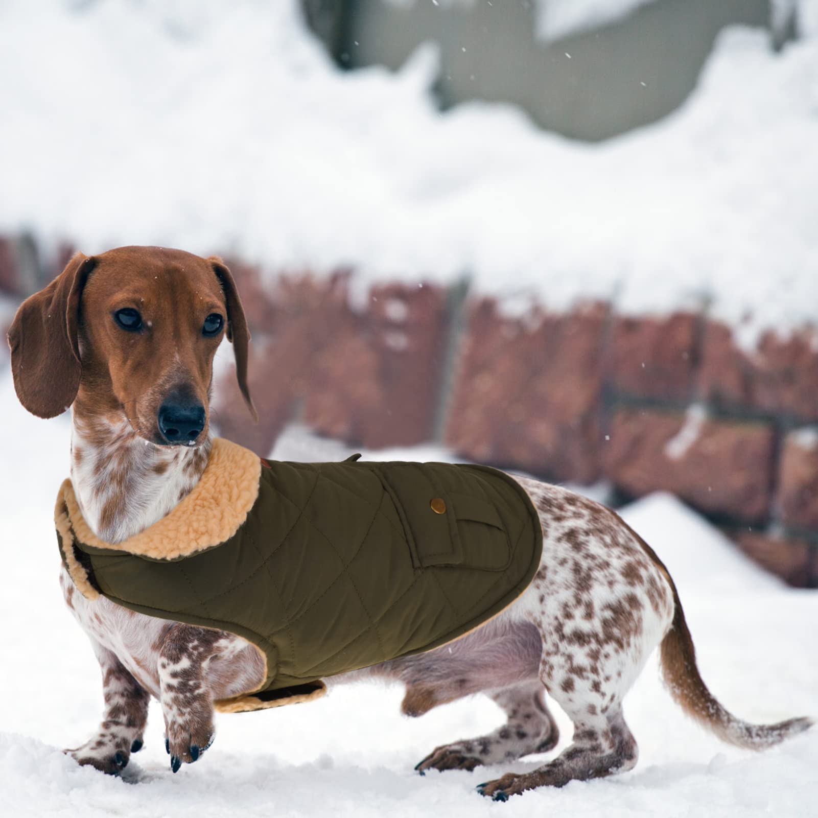 Queenmore Cold Weather Dog Coat, Winter Quilting Dog Jacket Ultra Warm Thick Plush Lining With Storage Pockets (Green, X-Small)