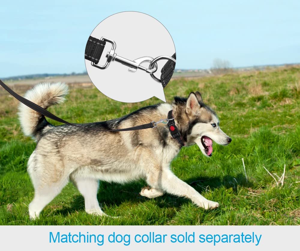 Taglory Dog Leash For Small Dogs | Double-Sided Reflective | Soft Neoprene Padded Handle | 3/4 Inch By 4 Ft | Fit Small Medium Large Breeds Dogs Under 20Lbs | Black